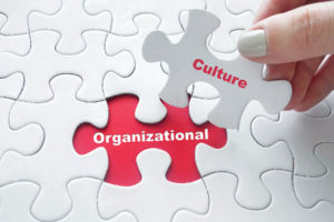 7 Reasons Why Culture Fit is Important for Your Hiring Strategy