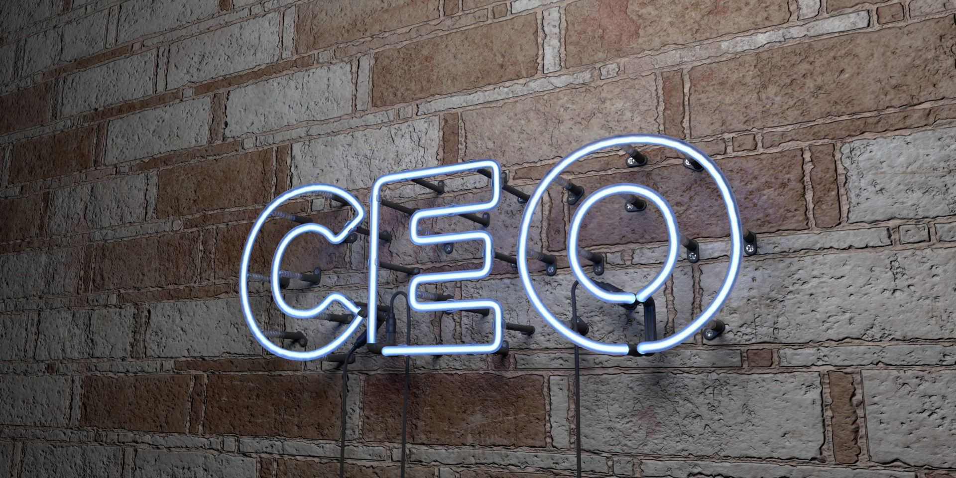 ceo sign in